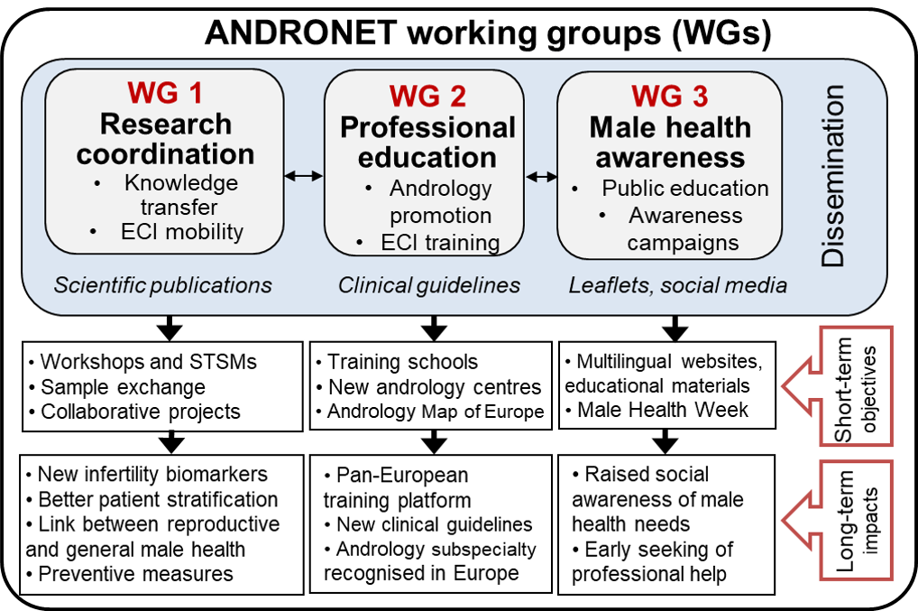 Andronet working groups